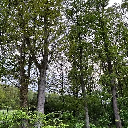 Liquidambar Holiday home